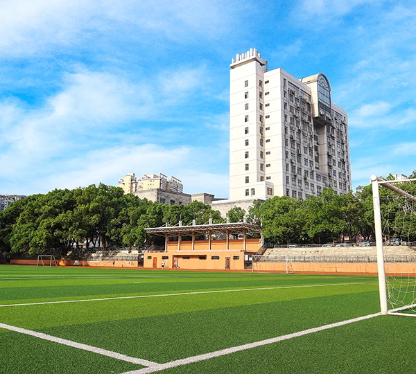 Practical application case of artificial grass