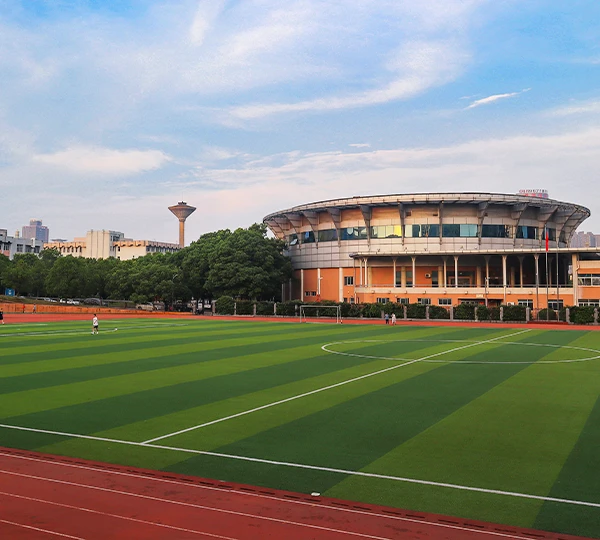 Practical application case of artificial grass
