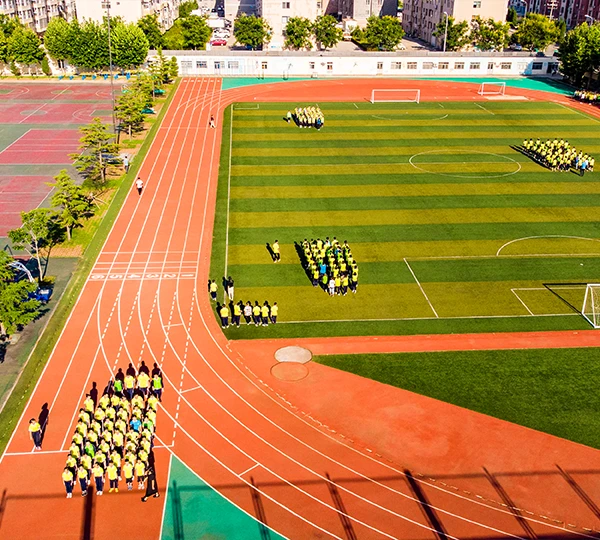 Practical application case of artificial grass