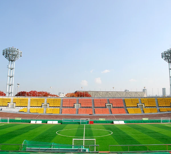 Practical application case of artificial grass